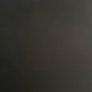 3 Loopy lefty cases and one regular case for iPhone 11